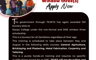 Non-formal and SME Window three (3)